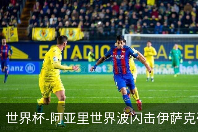 世界杯-阿亚里世界波闪击伊萨克破门 半场瑞典2-1突尼斯